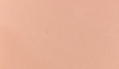 045P Alberta Maple Rehau Edgeband