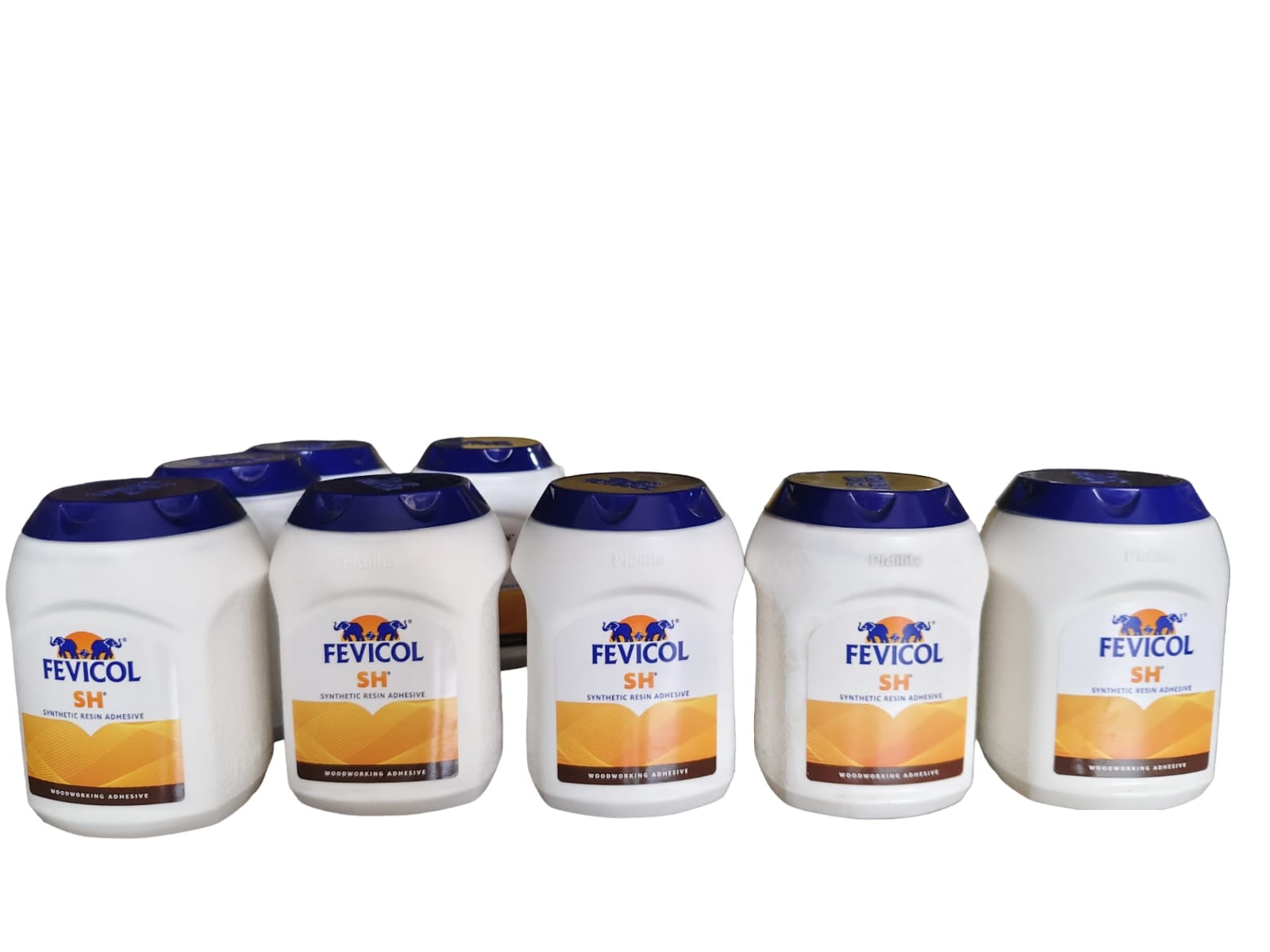 Fevicol SH